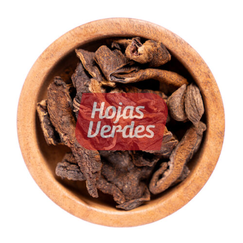 Hongos de Pino Bolletus