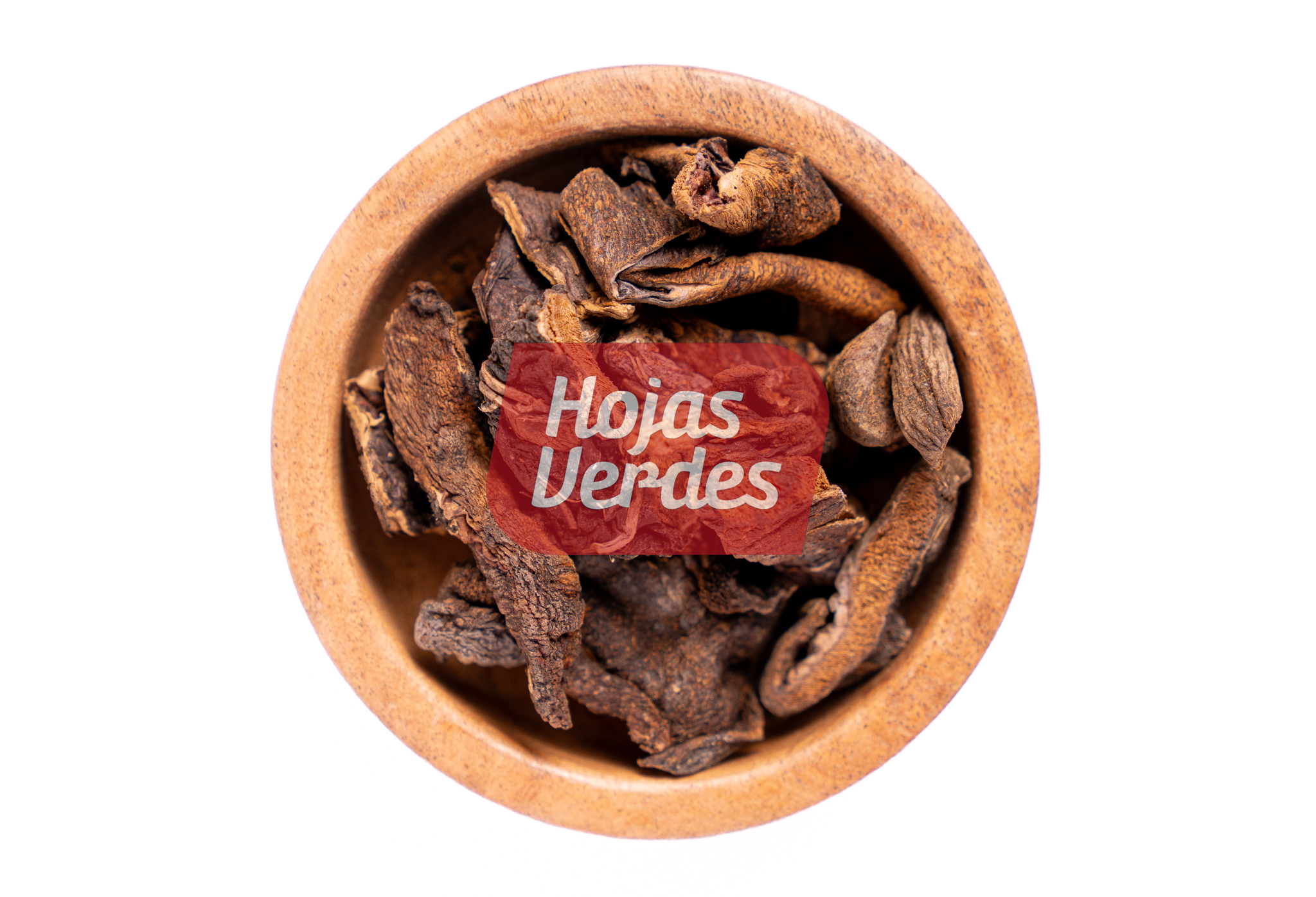 Hongos de Pino Bolletus